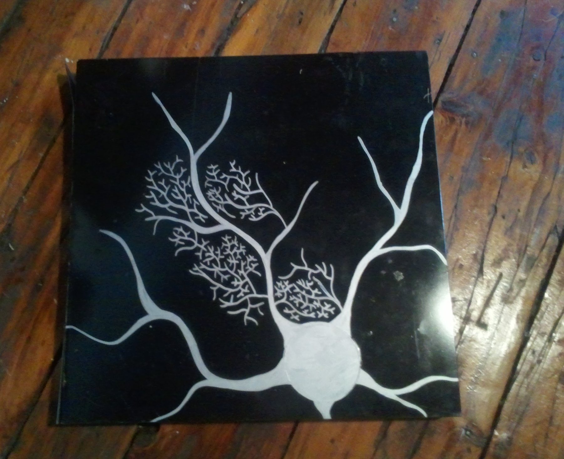 White Lines on Dark, 2013
