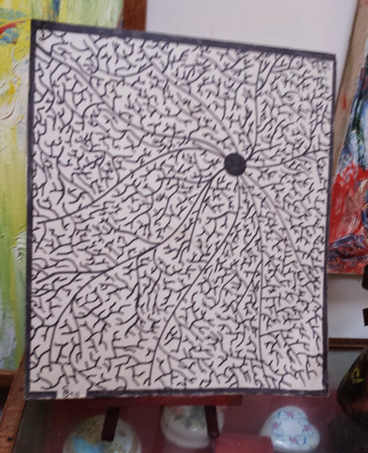Canvas Net, 2014