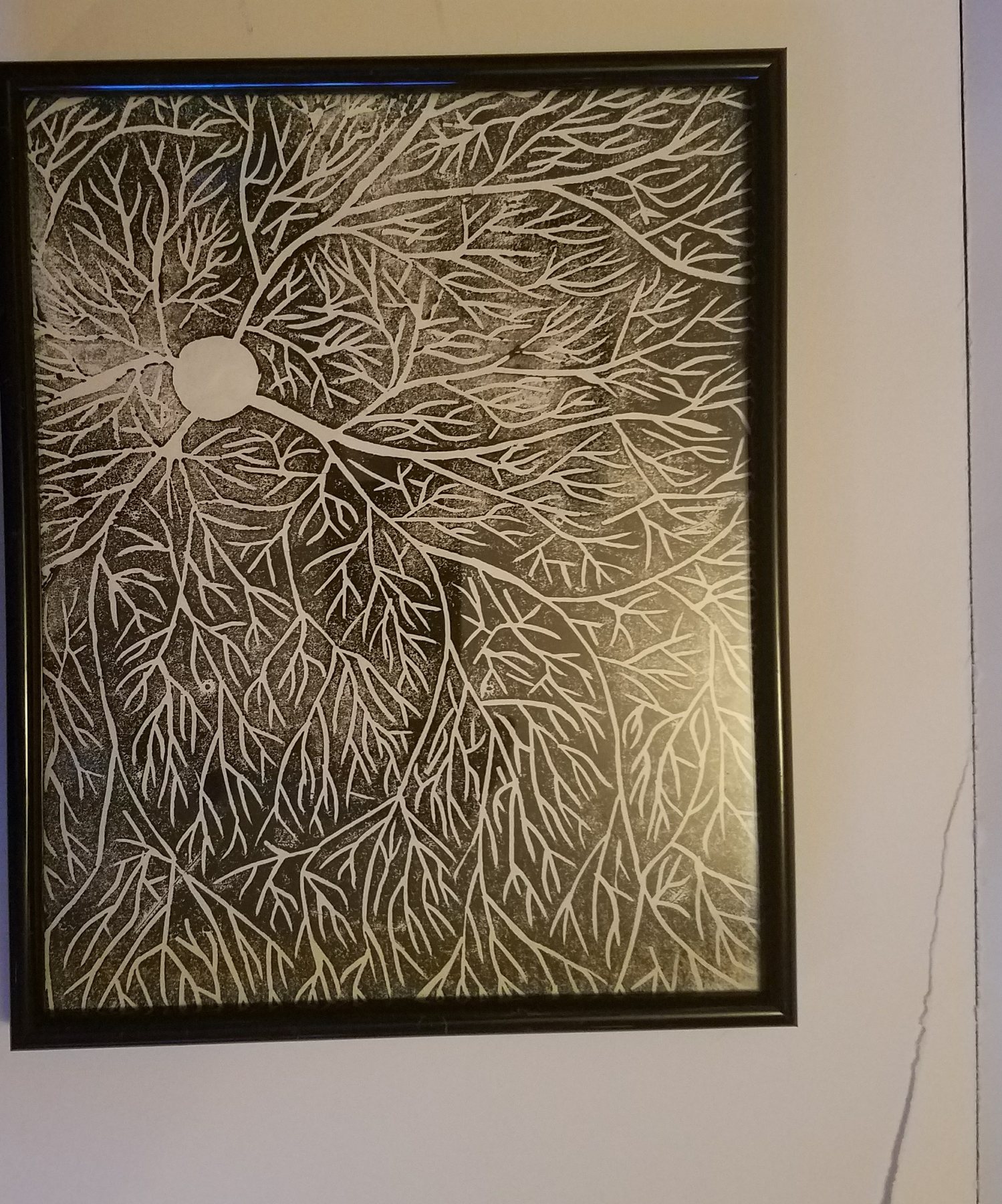 Gold Field, 2017