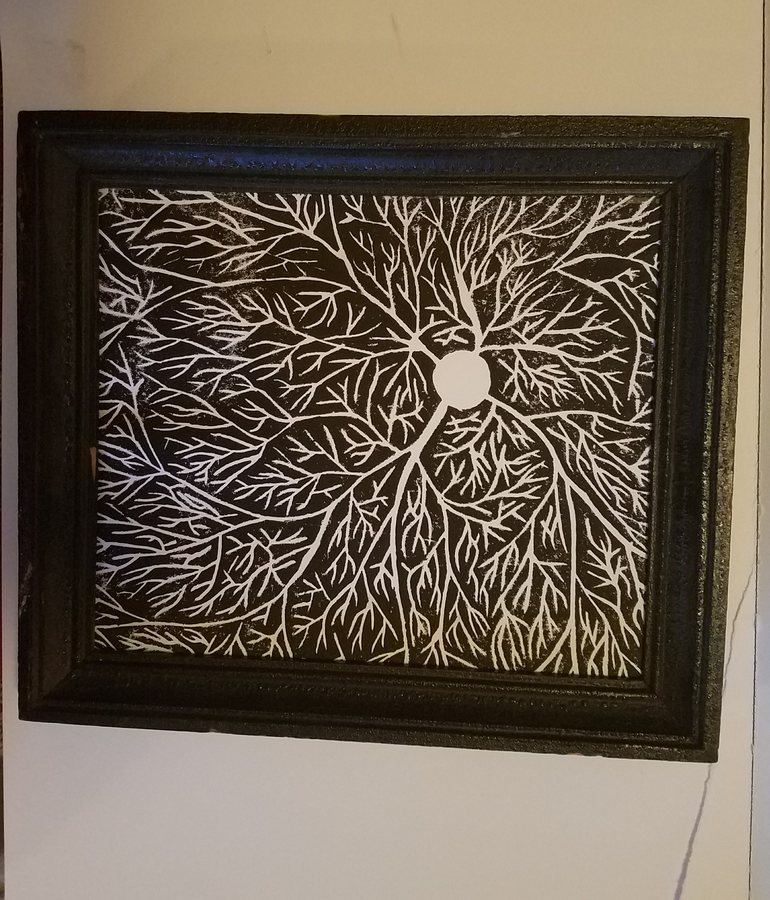 White Dendrite, Ornate Frame, 2017