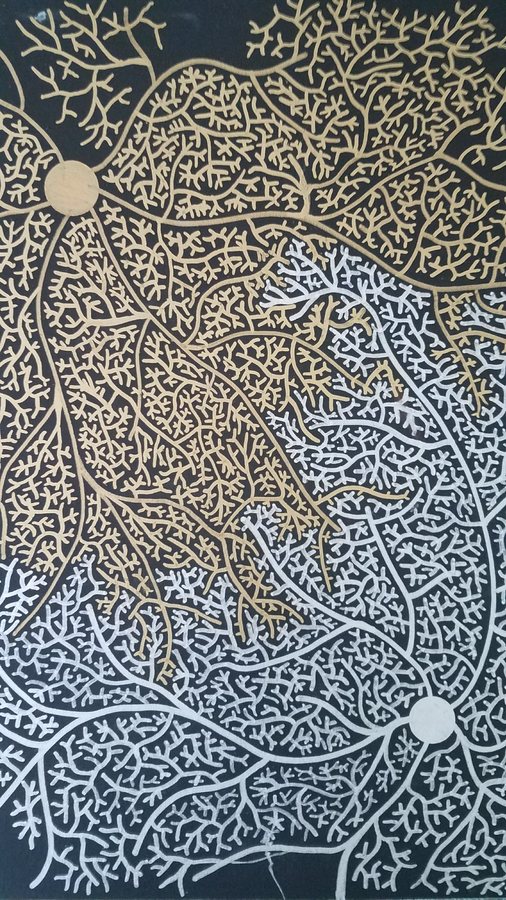 Two Nodes, 2017
