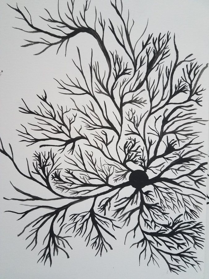 Single Black Node, 2017