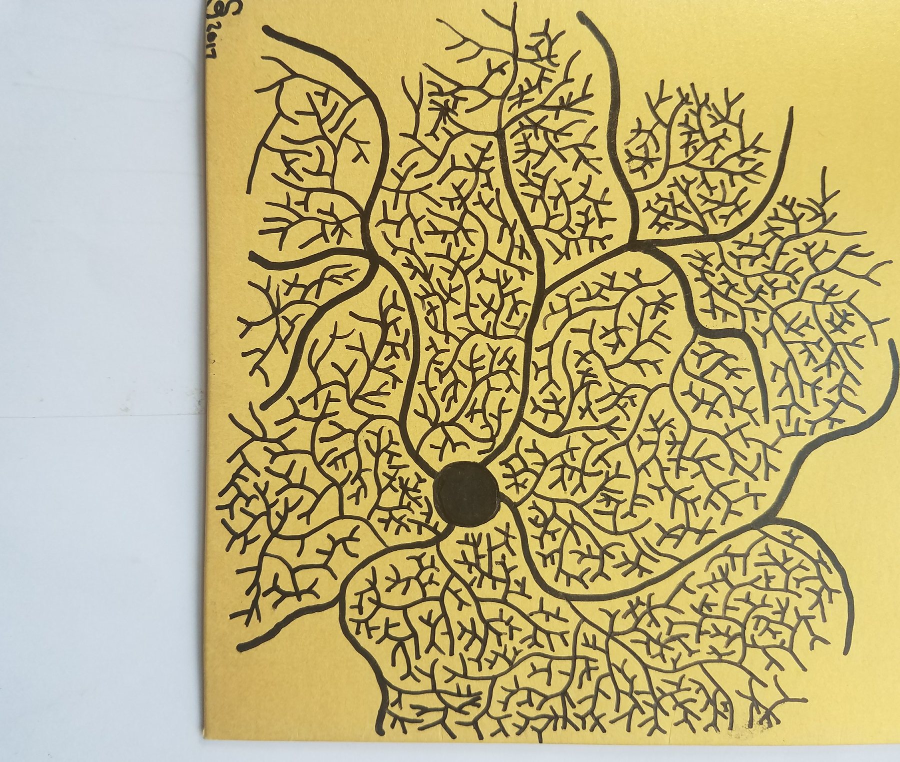 Yellow Panel, 2017