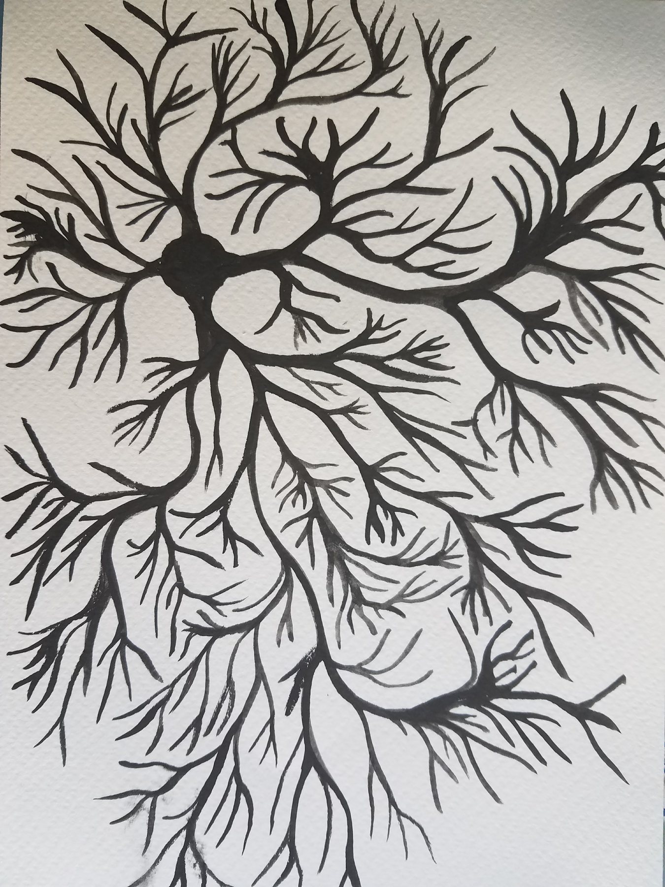 Radiant, 2017