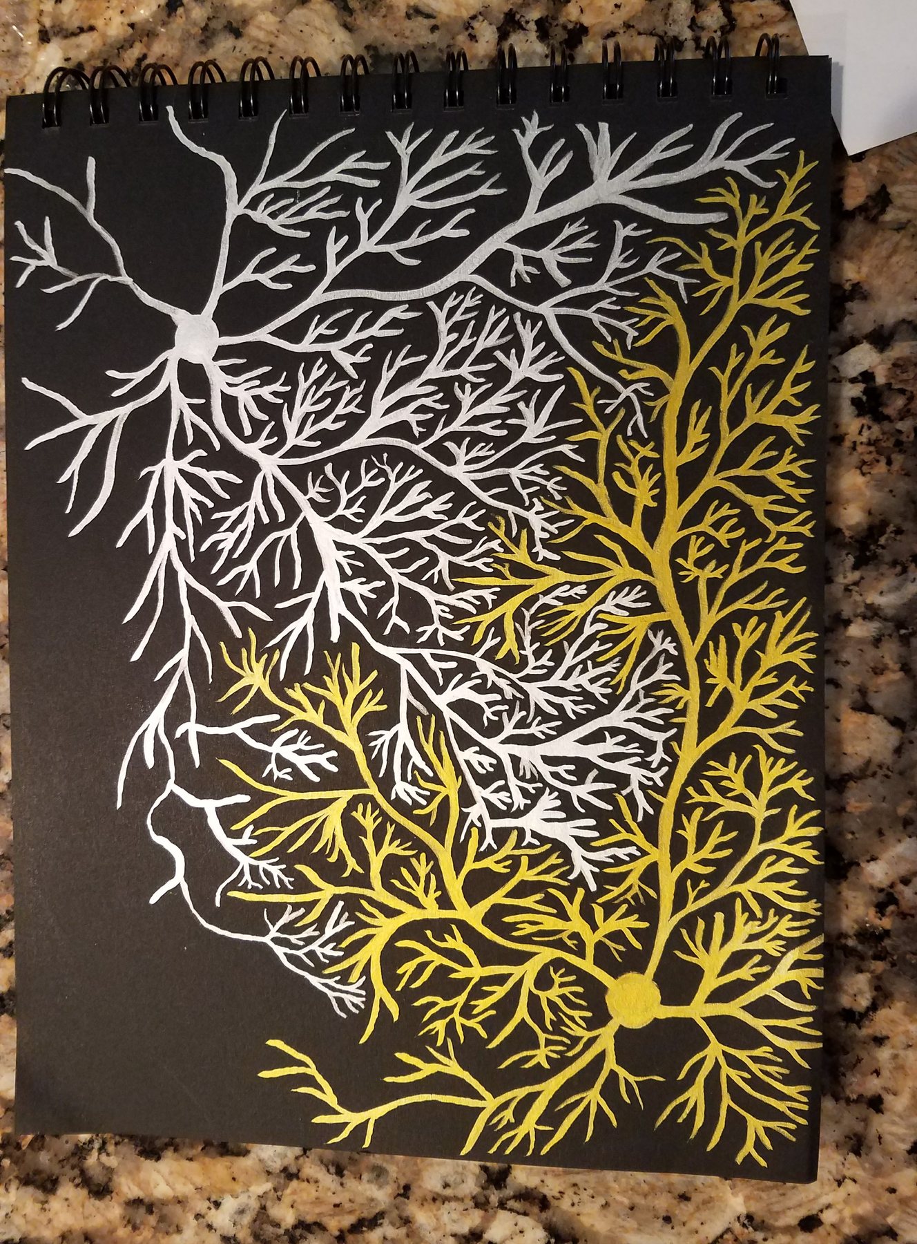 White and Yellow, Two Nodes, 2017