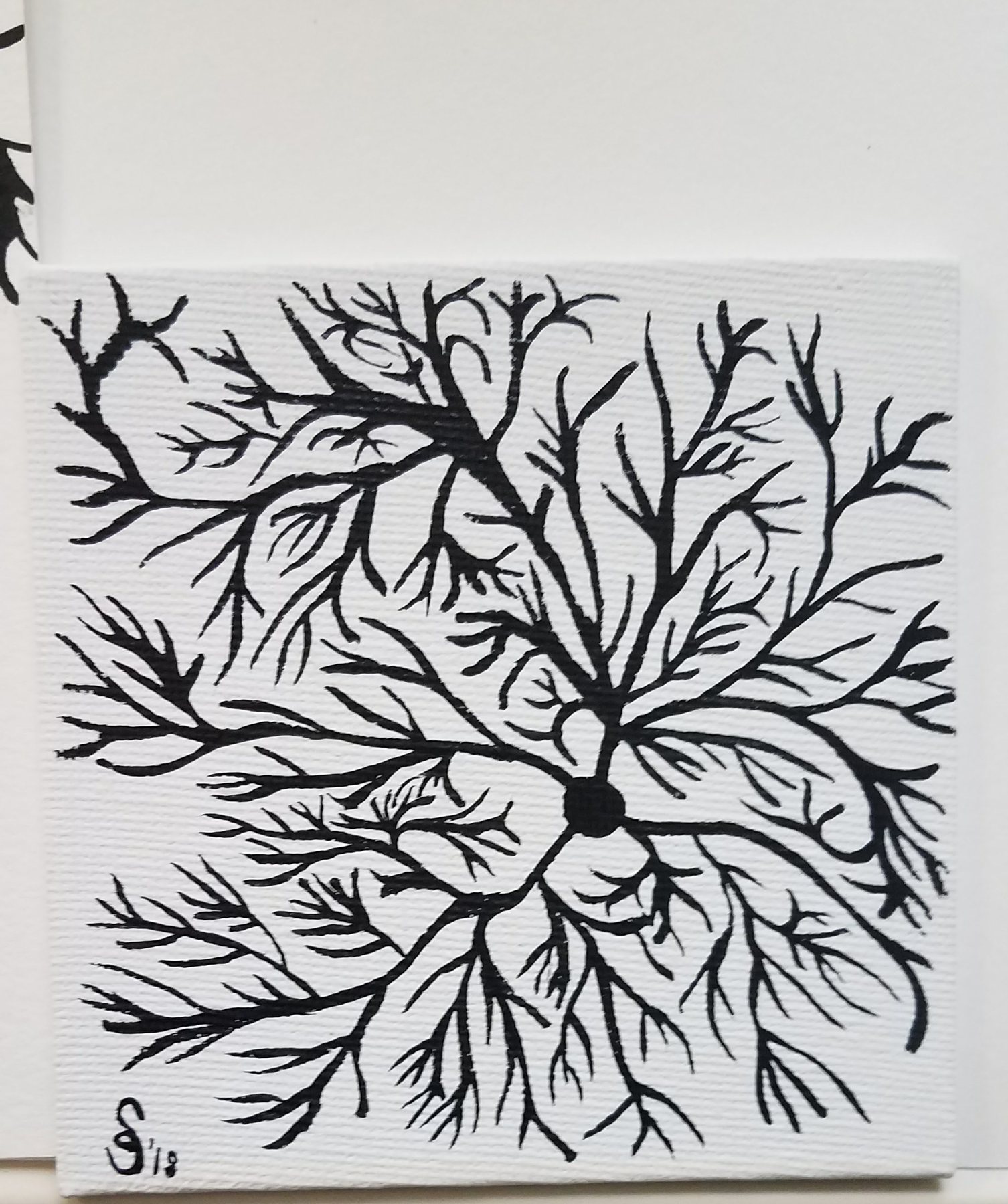 Signed Canvas, 2018