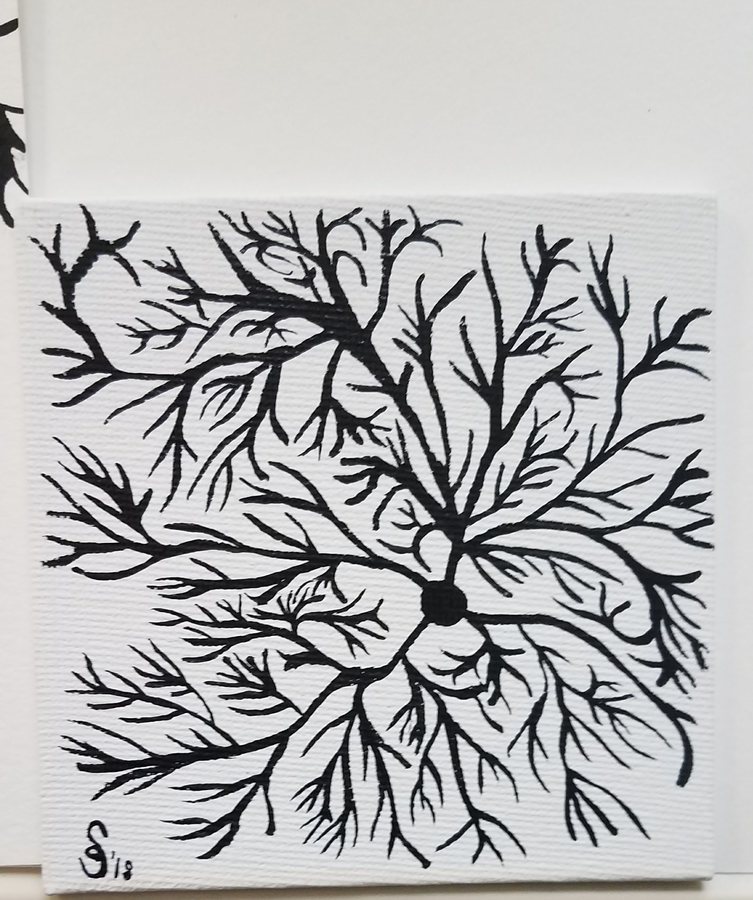 Signed Canvas, 2018