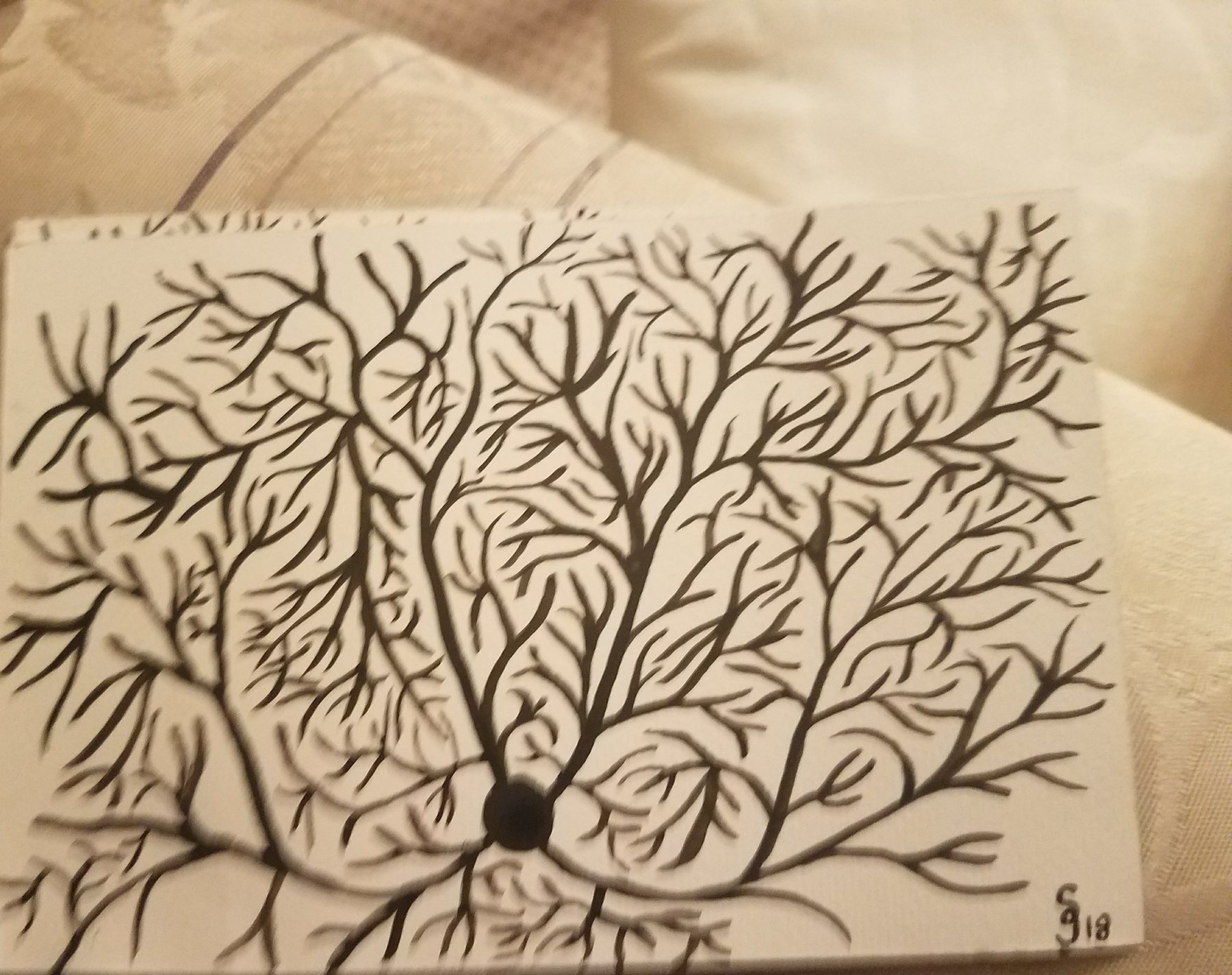 On Cloth, 2018