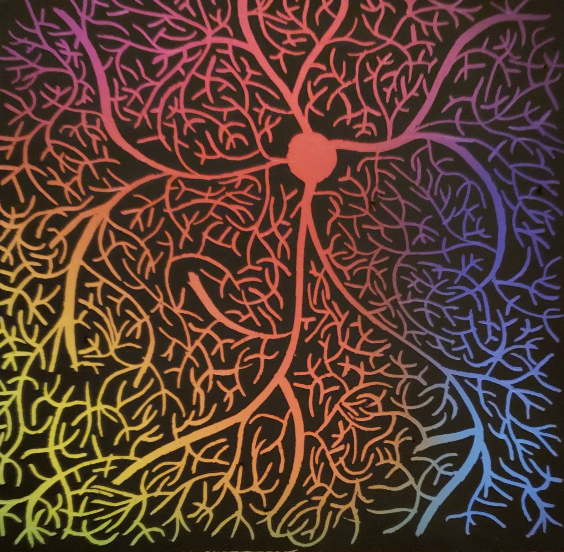 Pink Node, 2019