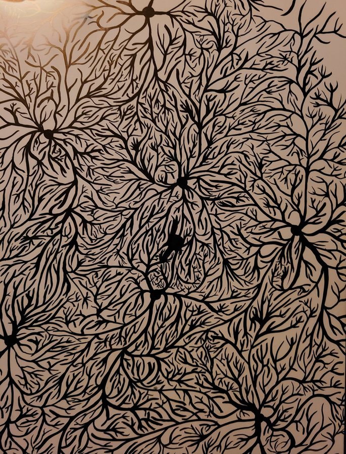 Field of Neurons, 2020