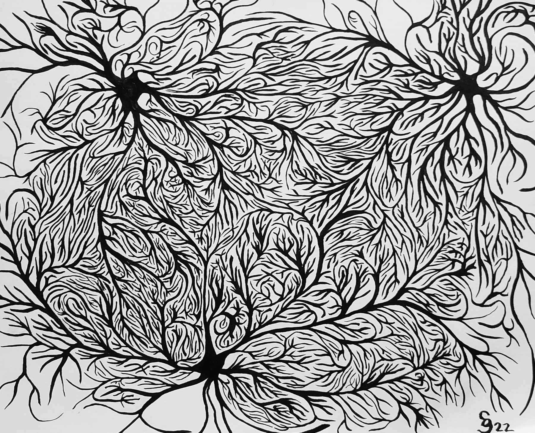 Loose Neuron, 2022