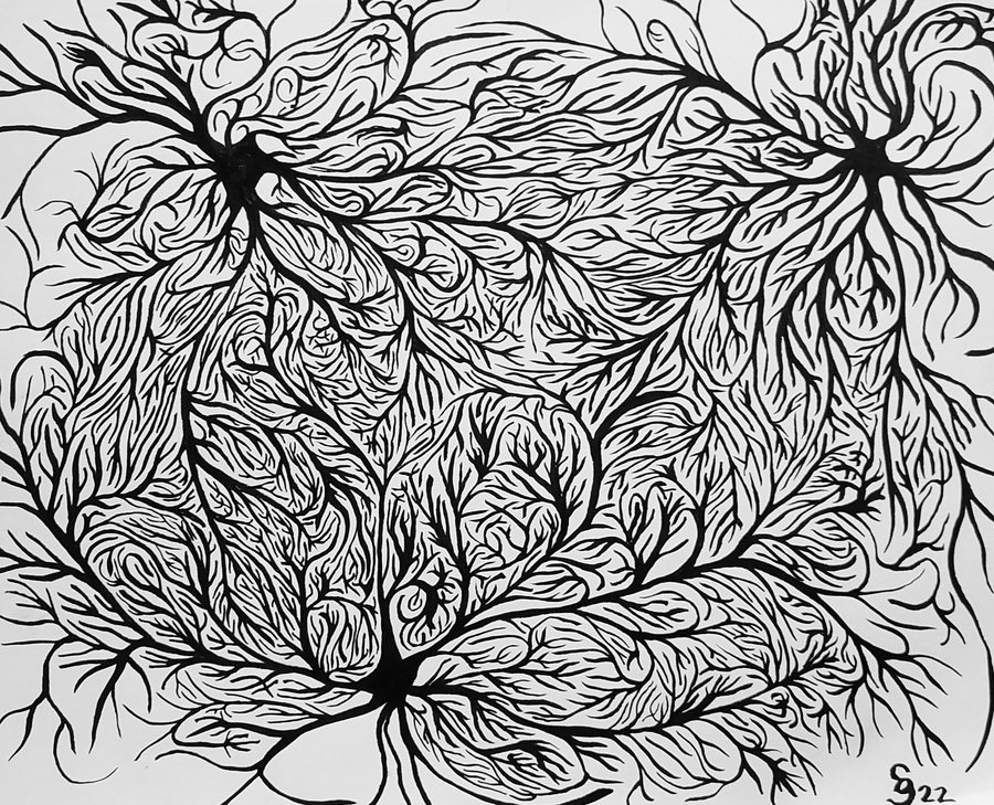 Loose Neuron, 2022