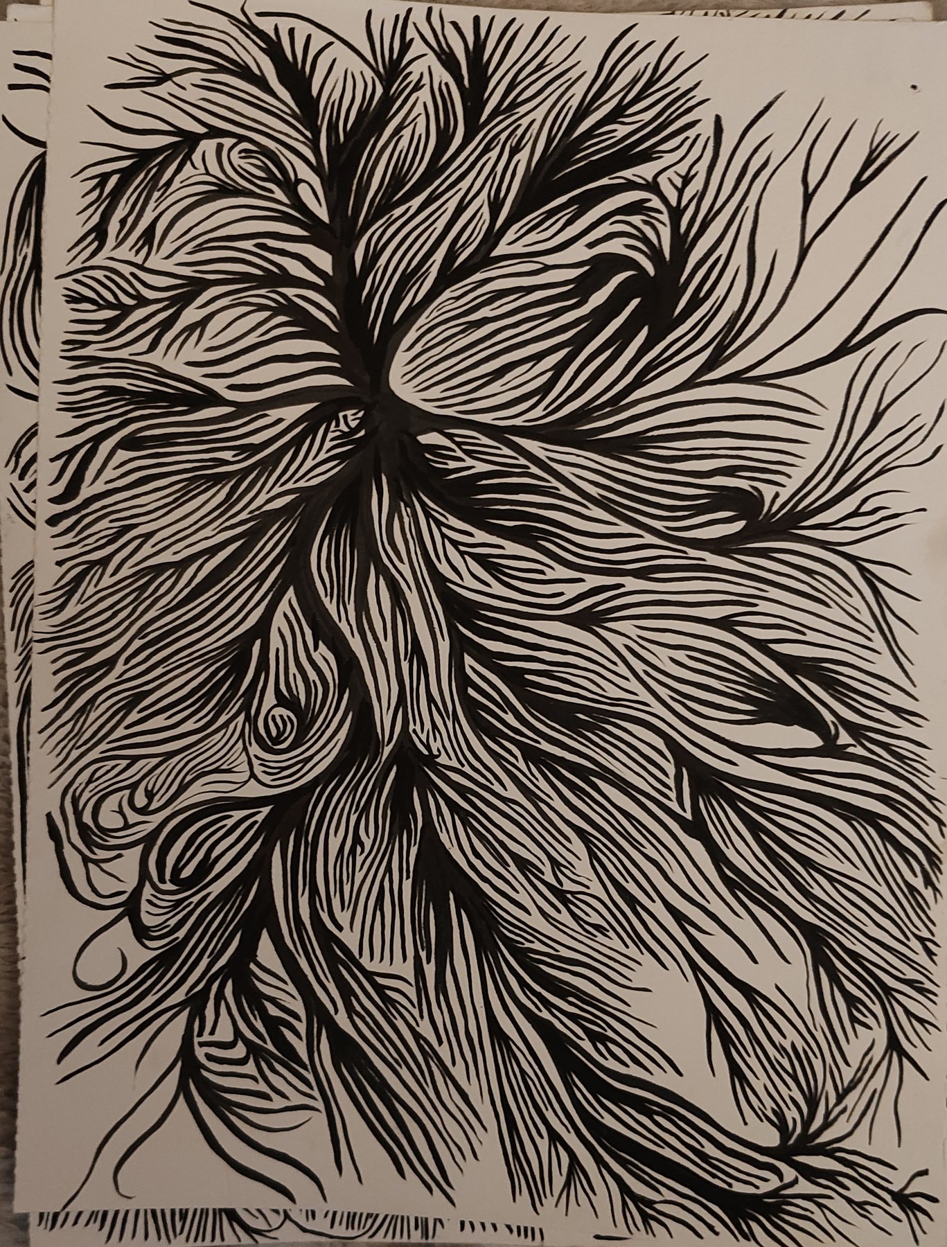 Fibrous Burst, 2024