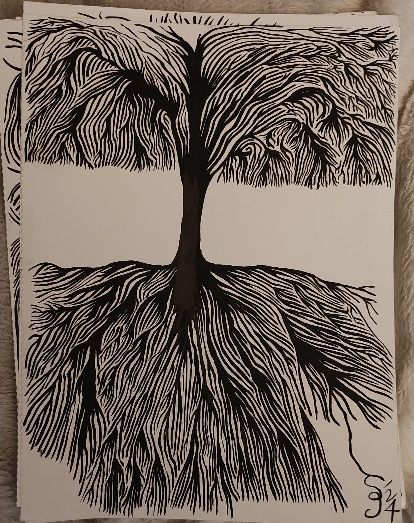 Tree, Banded Trunk, 2024