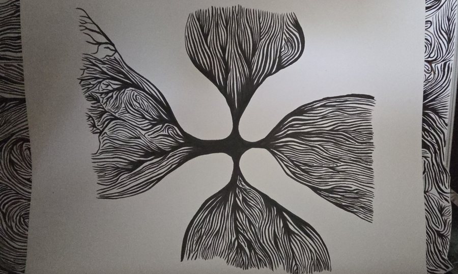 Butterfly, 2026