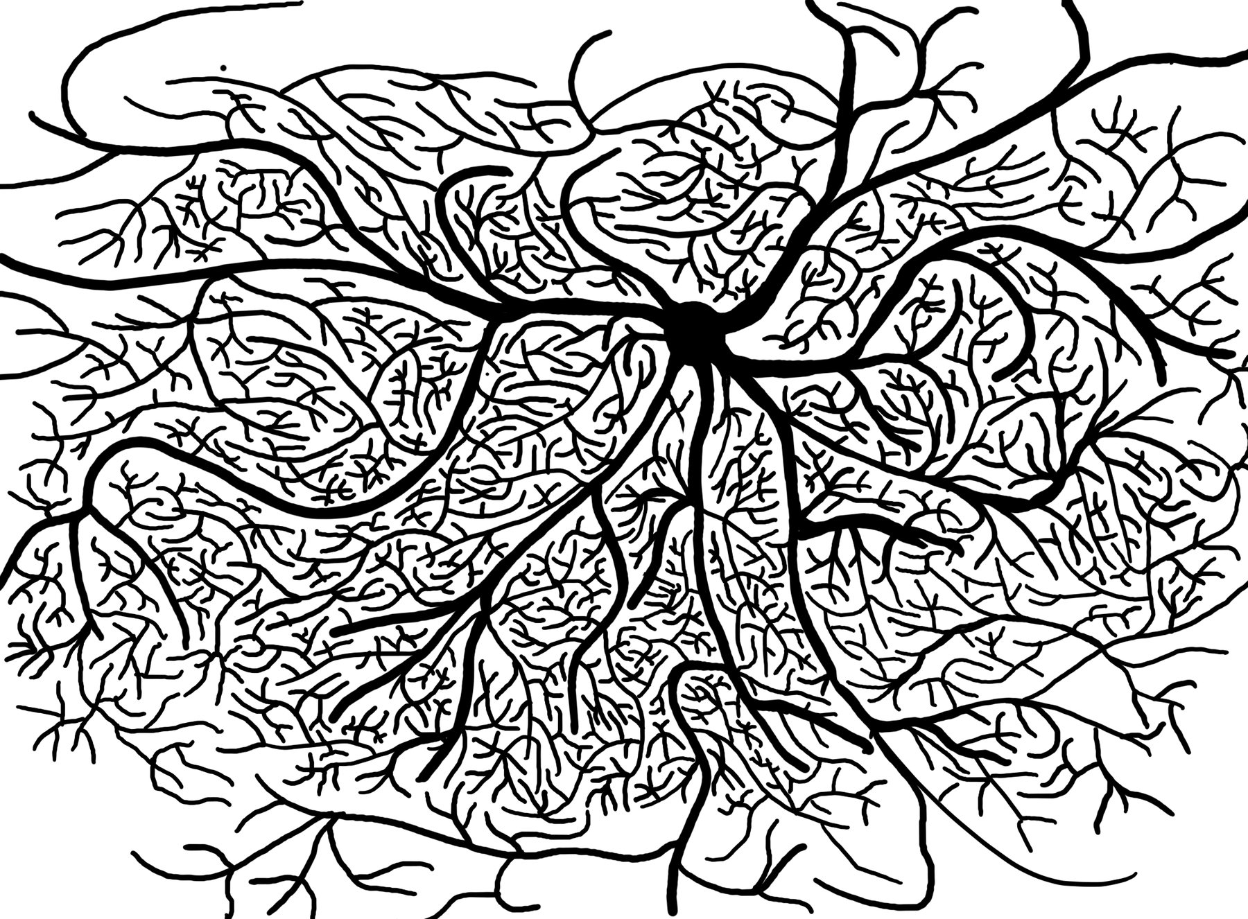Line Neuron, undated