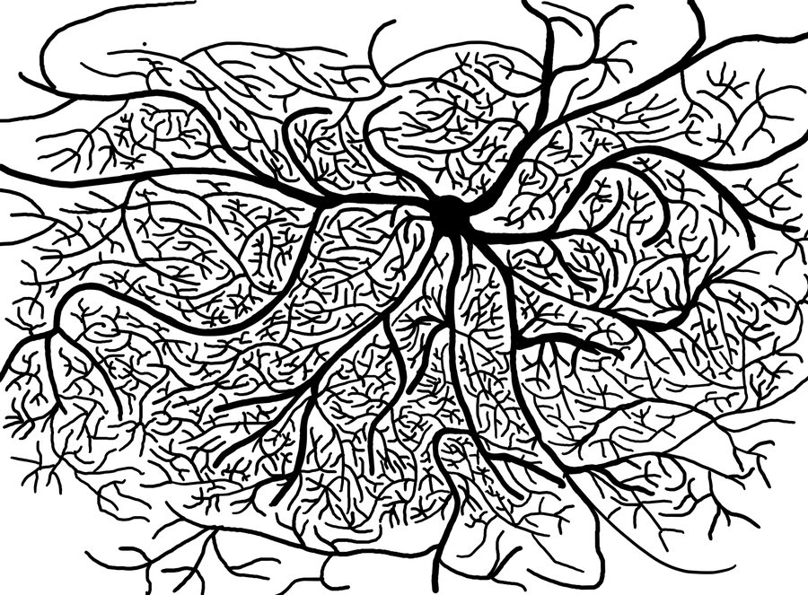 Line Neuron, —