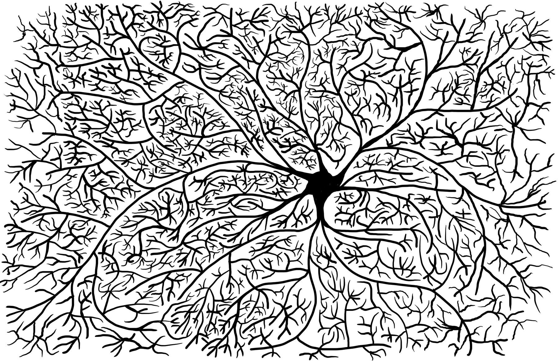 Wide Neuron, undated
